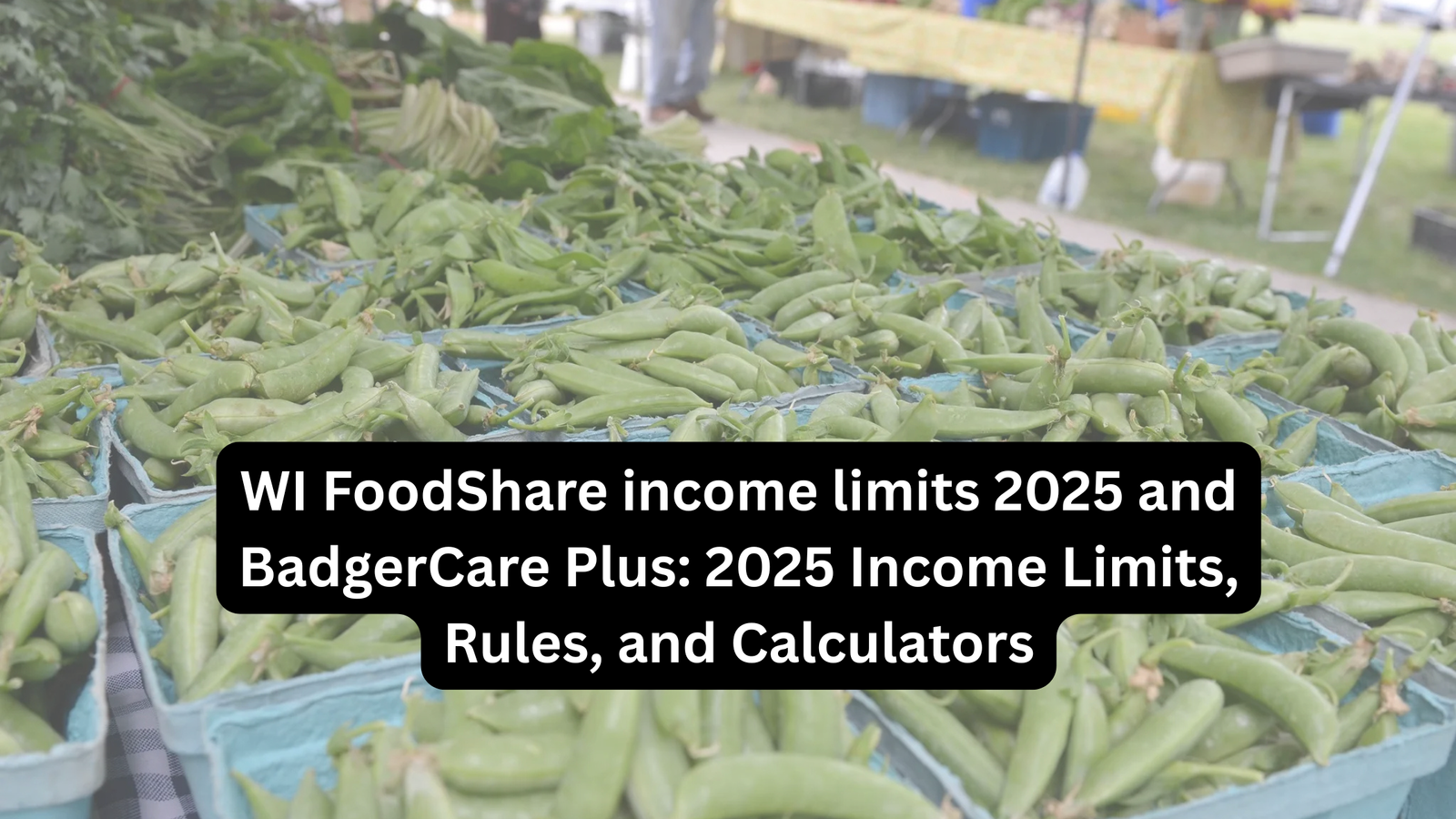 WI FoodShare income limits 2025